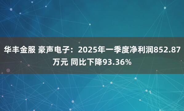 华丰金服 豪声电子：2025年一季度净利润852.87万元 同比下降93.36%