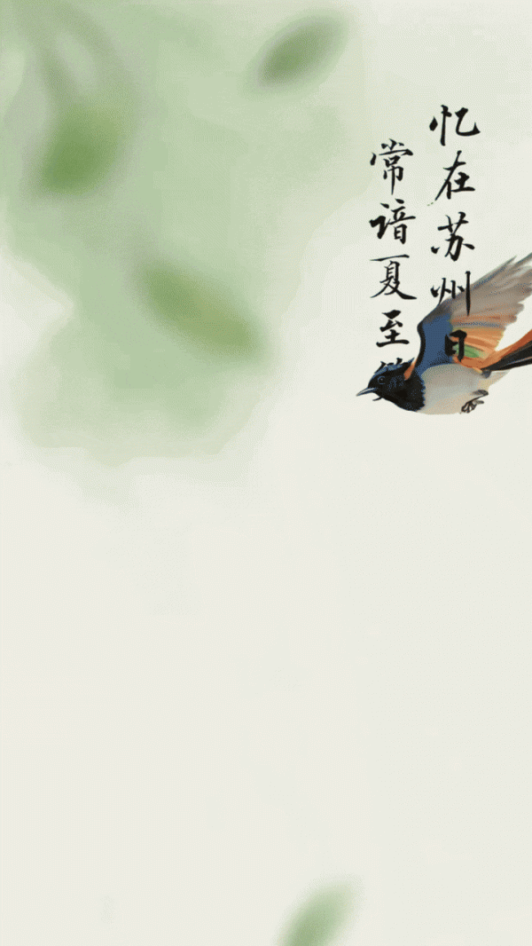 德宏信投 文化中国行•人间好时节｜夏至：悠悠夏日长 心静自然凉